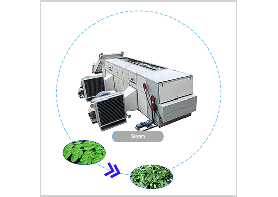 Moringa Drying Machine